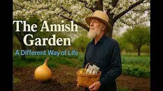 Amish Garden Wisdom: Grow More, Spend Less!  - Grandma&rsquo;s Green Wisdom