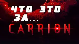 Что это за... ◆ Обзор Carrion ◆
