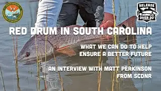 Redfish in South Carolina - Let's Reverse the Trend!