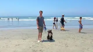 Pet Owners! You might be missing out on this simple but important tactic!