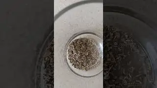 CH&Aacute; DE ERVA DOCE