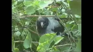 0089 Первый день лета (01 06 2002)