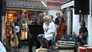 Din Egen Chauff&ouml;r - Gr&auml;nslandet (Freddy Holm, &Aring;sa Wetter)