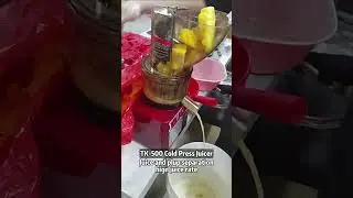 🍍Making Pineapple Juice By 500w Wide Mouth Commercial Juicer
