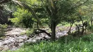 anaikatti river