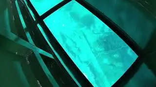 Glass Bottom Boat Tour & Kayaking Adventure: Silver Springs & Crystal River, FL