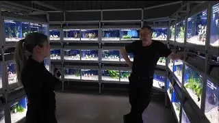 Nytt år, nya fiskar & tillbehör 🐠🌿