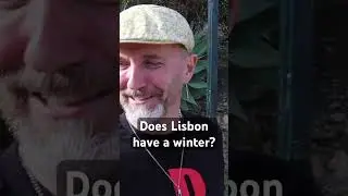 Does Lisbon even have a winter? #lisboa #lisbon