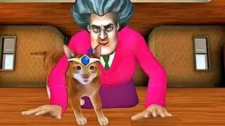 Scary Teacher 3D - Free The Poor Cat that she has LOCKED Up.