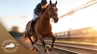 Lesson Plan: Black Jockeys and Jim Crow