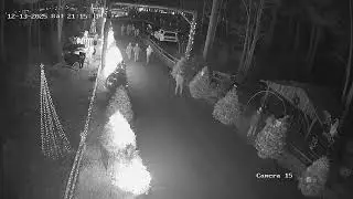 Christmas Culprits Caught on Camera Stealing Baby Jesus From Crib