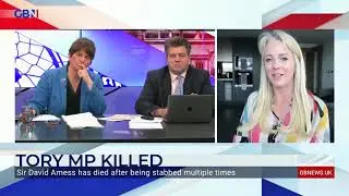 Sir David Amess killing: Isabel Oakeshott says MPs are concerned about security
