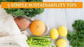 5 Simple Sustainability Tips! Prevent Food Waste, Save Money & Be Environmentally Friendly!