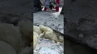 This Machine Seals Concrete Cracks Fast #Construction #Tools #Viral