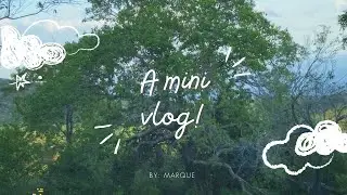 A mini vlog