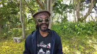 UNDER THE DOME   THE GREAT OWL OFFICIAL MUSIC VIDEO
