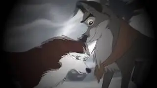 Балто и Дженна - 14 февраля