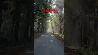 #Ride #Short trip #Tikarapada #Odisha tourism #Calm life