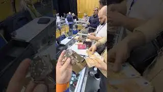 Эксклюзивные  модели и редкие экземпляры.Обзор, подбор и доставка.Все детали &mdash; в Telegram