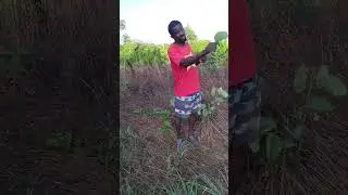 Powerful traditional healer offering spiritual guidance 