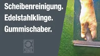 Scheibenreinigung im Aquarium wie ein Profi - Edelstahlklinge mit Gummischaber