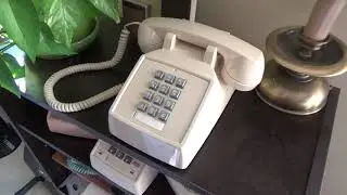 Phones in the House 11/2/2019