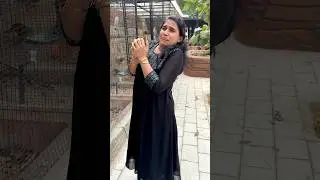 pocket monkey twist❤️Funny videos #shorts #youtubeshorts #klshobasureshani