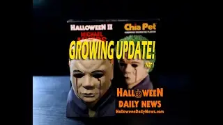Growing a Michael Myers Chia Pet - Part 1