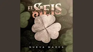 Te Apuesto
