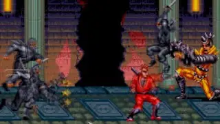 ADK Ninja Combat