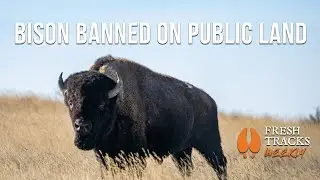 You Can't Graze Here! | Fresh Tracks Weekly (Ep. 111)