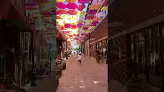 Umbrella display #running #fun #umbrella #colorful#umbrellasky