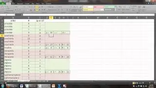 stream 1