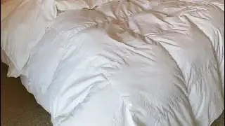BPC Organic Down Comforter Queen Size Fluffy Duvet Insert for All Season Review