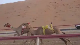 الشوط 7 (ياقوت) ل: فايز عبيد ملفي المزروعي توقيت 6.34.1 (افضل توقيت)