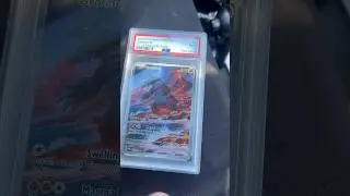 Wheeling & Dealing! First Pokemon Collection buys!