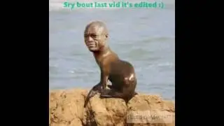 ANIMAL PUN SLIDESHOW!!!!(edited)