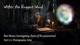 Chapter 1.1. Orbs in Paranormal Photography