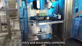Automatic Combination Scale Weighing and Packaging Machine 1