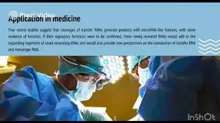 Tackling tumors with small RNAs derived from transfer RNA