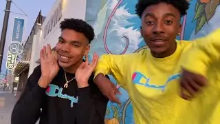 YNP Berry & YNP Cozy - Femur