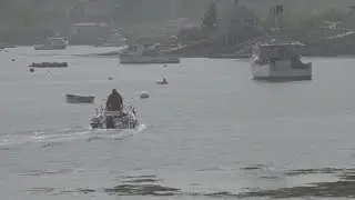 Trump's executive order on fishing industry draws support from Maine fishermen