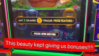 Amazing jungle theme slot machine. It kept giving us bonuses.