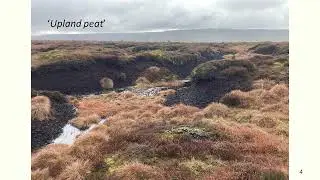 #PeatConf23: Day 3 - Lowlands and uplands: cross-pollinating ideas workshop