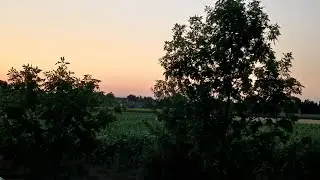 Kapetan Gradimir dovozi vevericu iz Azerbajdžana