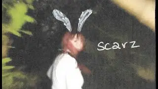 Holliday Howe - scarz