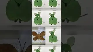 nature activity