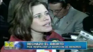 Aborto, controvertidas declaraciones de los ministros Rafael Rey y Flores Araos