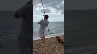 A Mackeral fishing session on my birthday with Fred keeping watch! #fishing #dogshorts