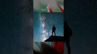 Эволюция взяла запчасти от рыбы и собрала голову